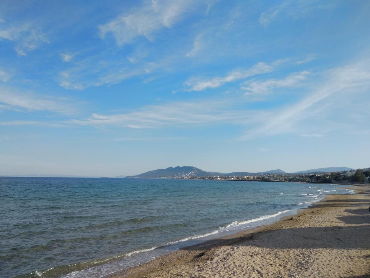 Apartment La Apartments-near Airport & Sea *