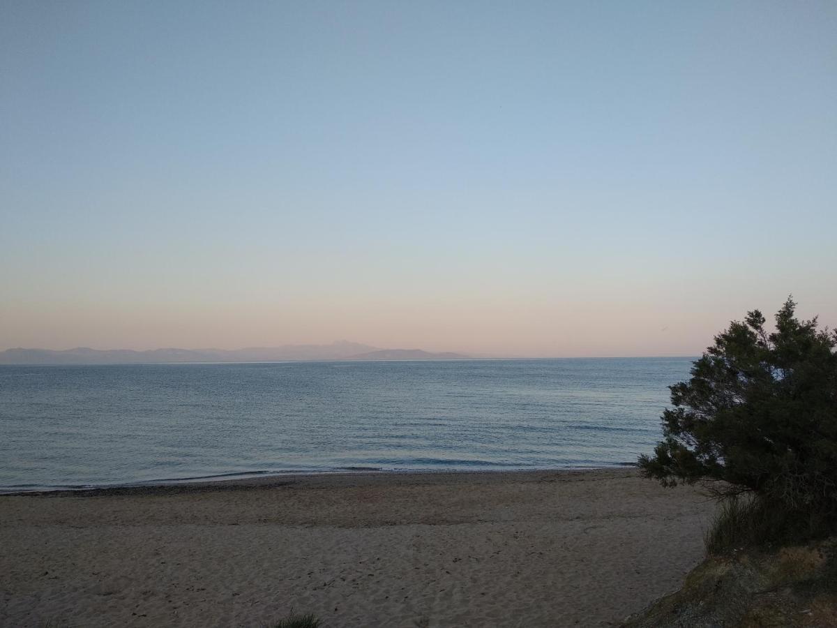 La Apartments-near Airport & Sea Διαμέρισμα *