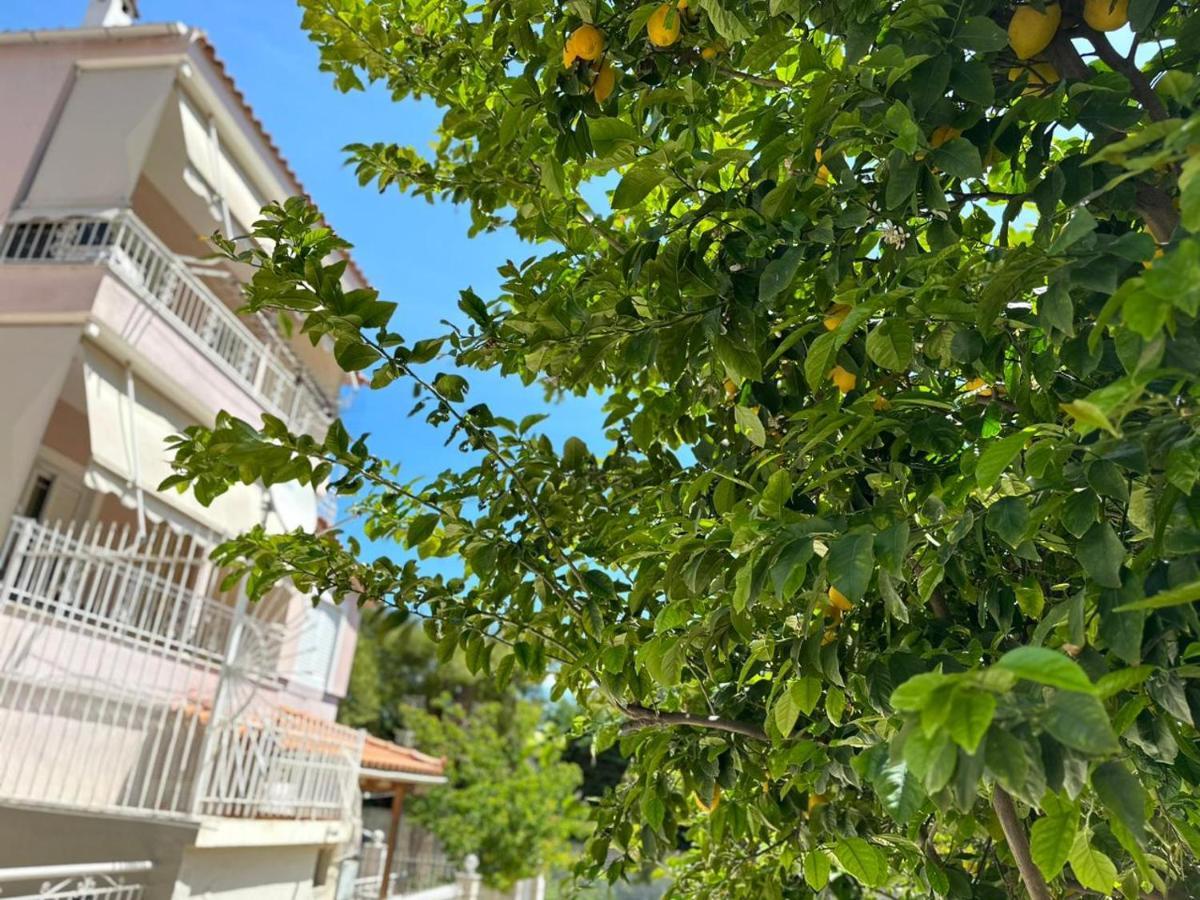 La Apartments-near Airport & Sea Διαμέρισμα