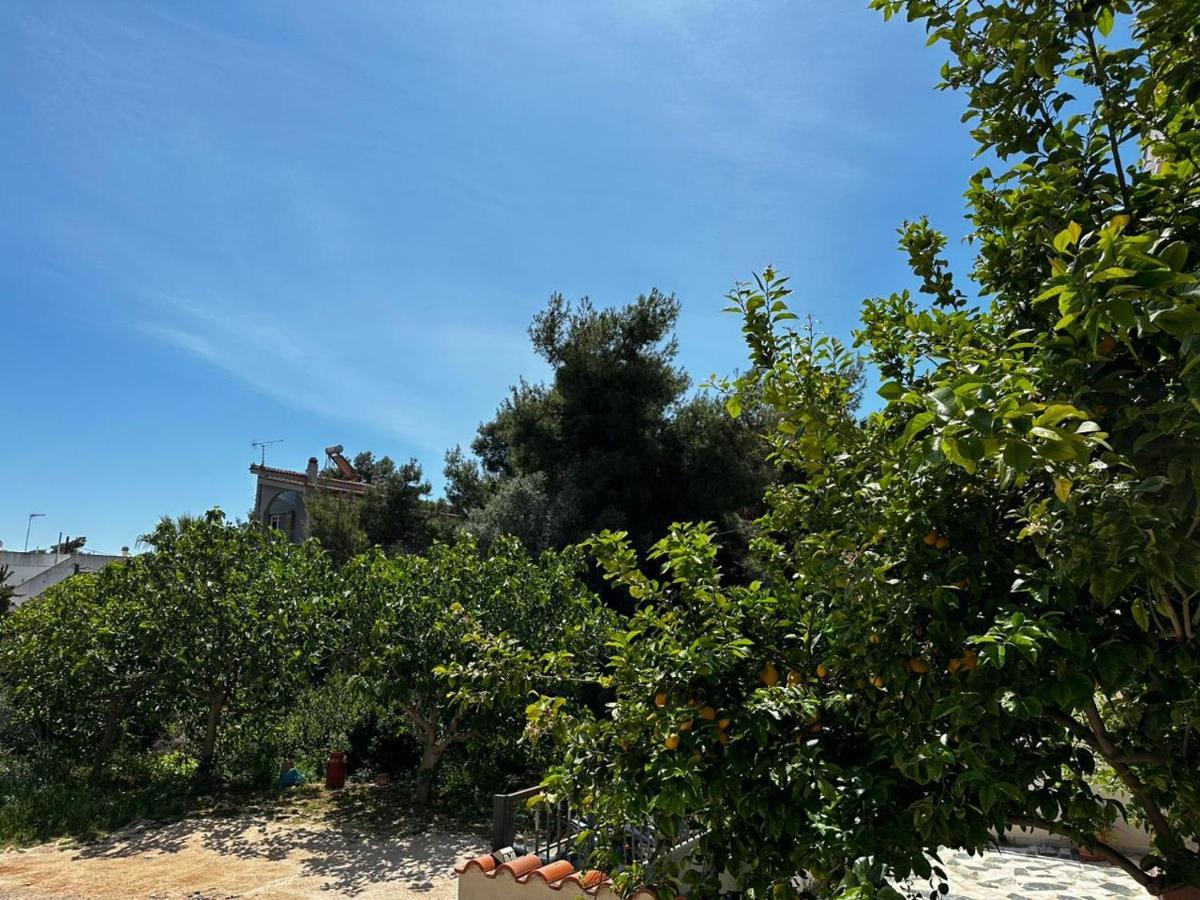 La Apartments-near Airport & Sea